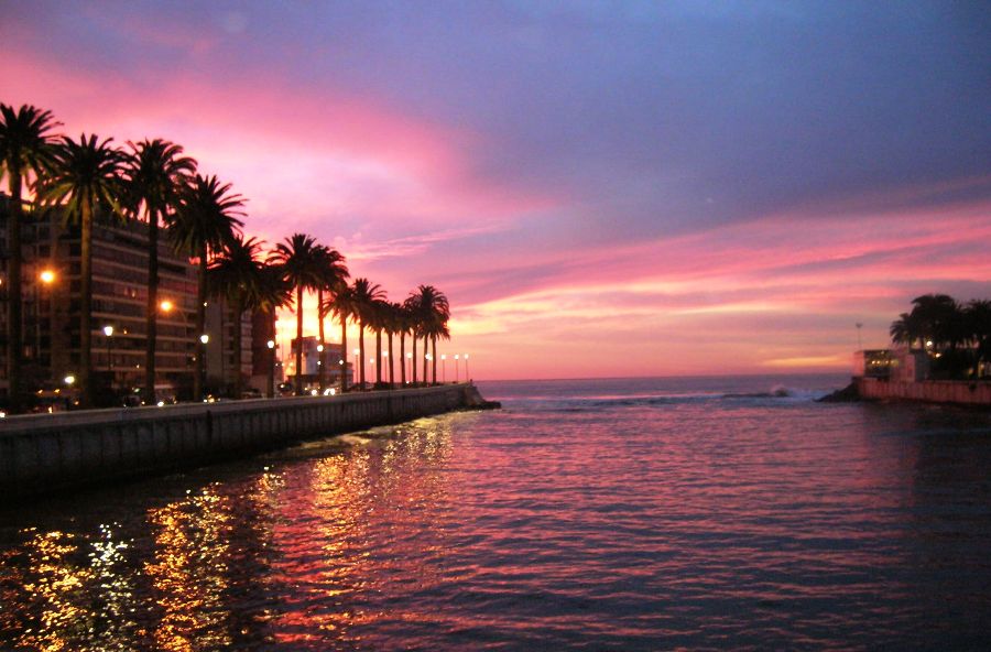 Borde Costero Viña del Mar